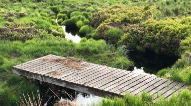 Balade Hautes fagnes