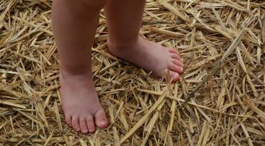 Une balade à pieds nus insolite avec vos enfants