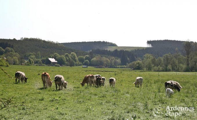 Vakantiehuis in Bastogne voor 9 personen in de Ardennen