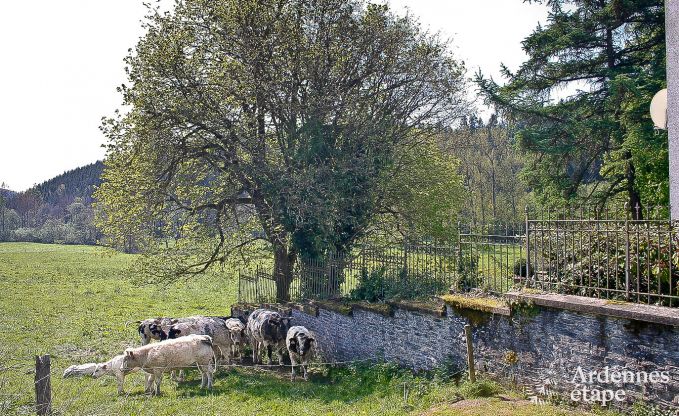 Vakantiehuis in Bastogne voor 9 personen in de Ardennen