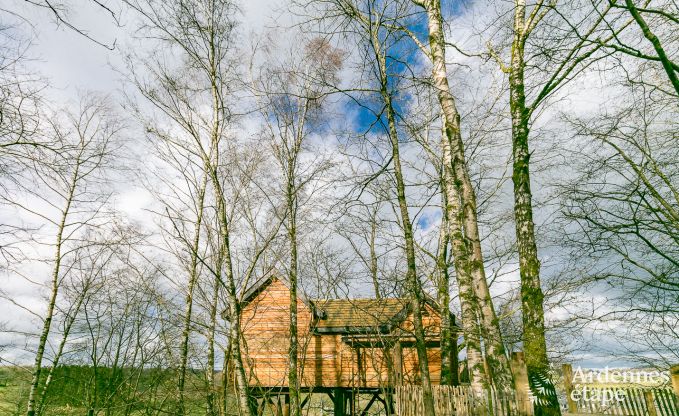 Unieke boomhut in Bertrix voor 4/6 personen in de Ardennen