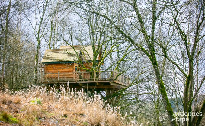 Unieke boomhut in Bertrix voor 4/6 personen in de Ardennen