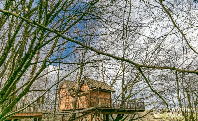 Unieke boomhut in Bertrix voor 4/6 personen in de Ardennen