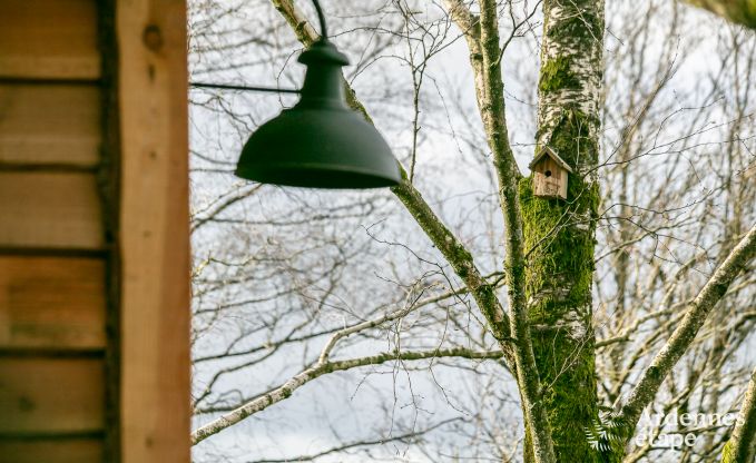 Unieke boomhut in Bertrix voor 4/6 personen in de Ardennen