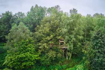 Boomhut voor 4/6 p. in de Ardennen (Bertrix)