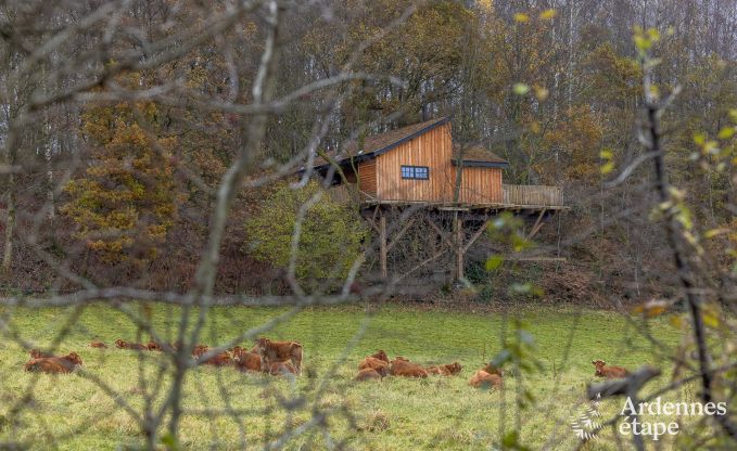 Unieke boomhut in Bertrix, Ardennen