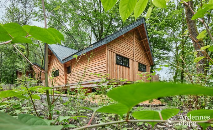 Boomhut in Bertrix, Ardennen