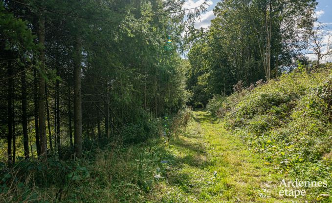 Luxe villa in Bertrix voor 15 personen in de Ardennen