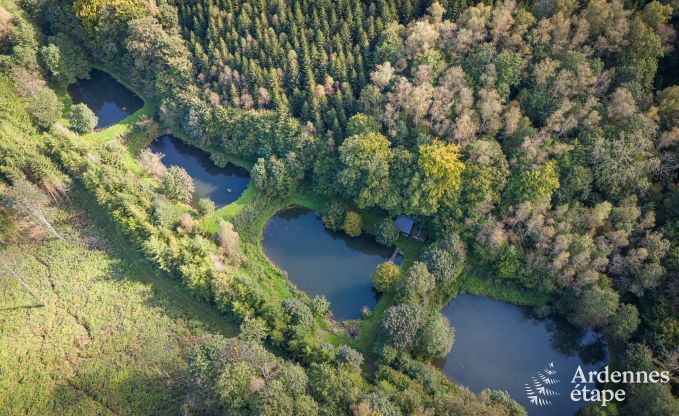 Vakantiehuis in Bertrix voor 4 personen in de Ardennen