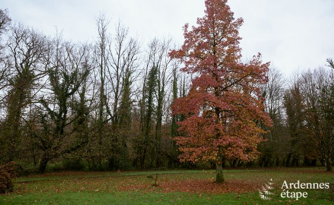 Vakantiehuis in Bouillon voor 6/8 personen in de Ardennen