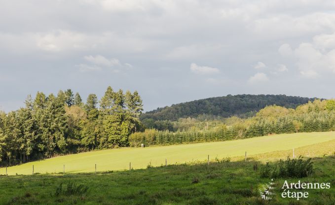 Cottage in Dinant voor 12 personen in de Ardennen