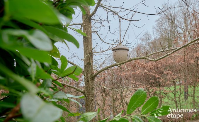 Chalet in Ereze voor 4 personen in de Ardennen