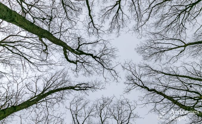 Chalet in Ereze voor 6 personen in de Ardennen