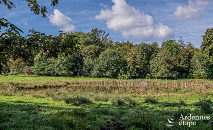 Gezellig en hondvriendelijk vakantiehuis voor 4 personen in Gesves, Ardennen