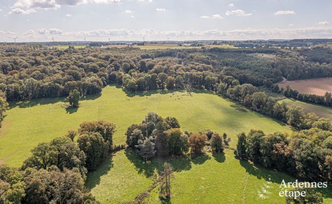 Gezellig en hondvriendelijk vakantiehuis voor 4 personen in Gesves, Ardennen