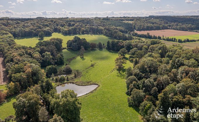 Gezellig en hondvriendelijk vakantiehuis voor 4 personen in Gesves, Ardennen