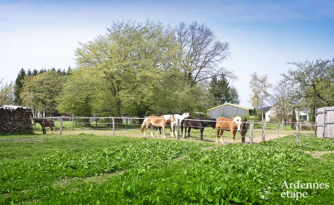 Vakantiehuis in Gouvy voor 23 personen in de Ardennen