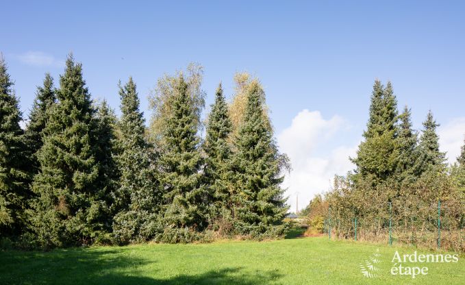 Vakantiehuis in Hamois voor 8 personen in de Ardennen