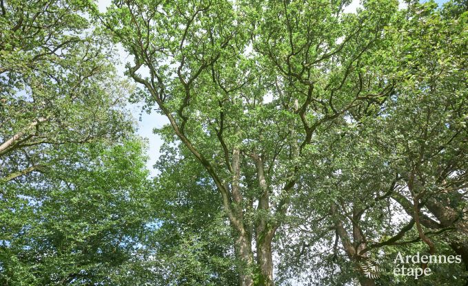 Vakantiehuis in Houffalize voor 28 personen in de Ardennen