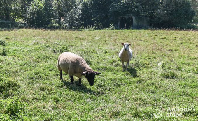 Vakantiehuis in Houffalize voor 16 personen in de Ardennen