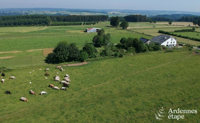 Vakantiehuis in Houffalize voor 10/12 personen in de Ardennen