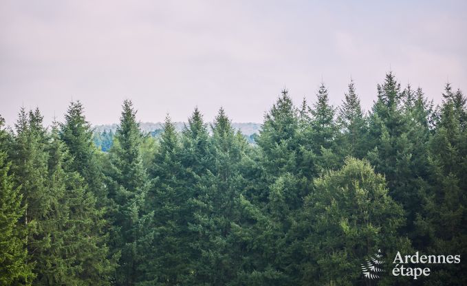 Vakantiehuis in Houyet voor 7 personen in de Ardennen