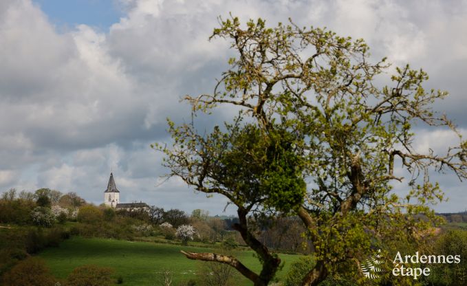 Comfortabele vakantievilla voor 14 in Limbourg, Ardennen