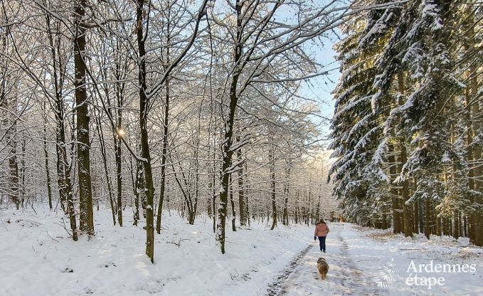 Vakantiehuis in Manhay voor 10 personen in de Ardennen