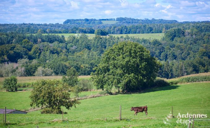 Chalet in Margny voor 4/6 personen in de Ardennen