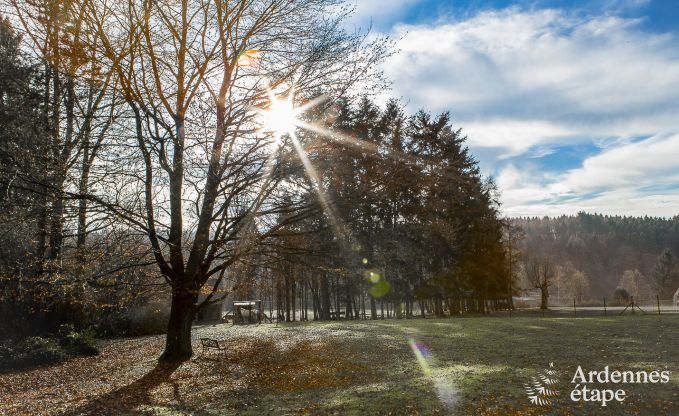 Vakantiehuis in Momignies voor 8 personen in de Ardennen