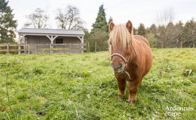 Vakantie op de boerderij in Nassogne voor 4 personen in de Ardennen