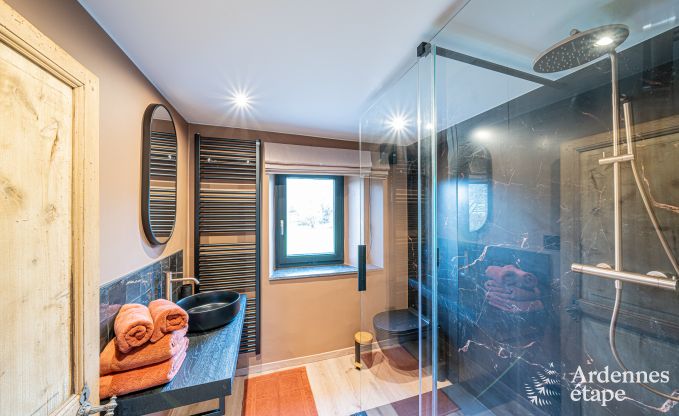 Vakantievilla in Ohey: luxe verblijf voor 10 personen met sauna, jacuzzi en privtuin