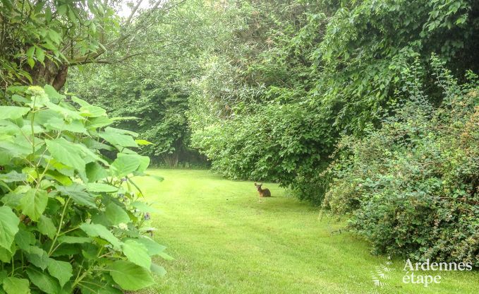 Cottage in Oteppe voor 4 personen in de Ardennen