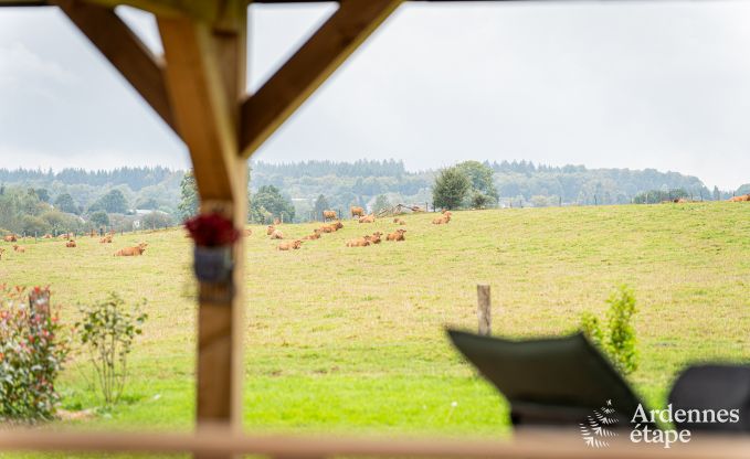 Vakantiehuis in Paliseul voor 8 personen in de Ardennen