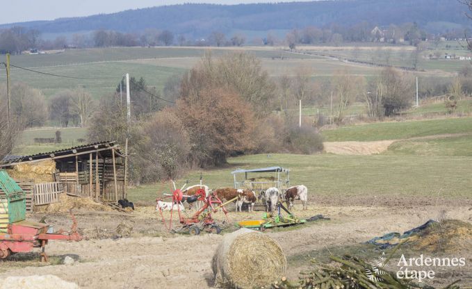 Vakantie op de boerderij in Plombires voor 4/5 personen in de Ardennen