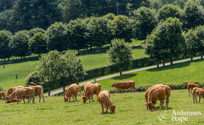 Moderne vakantiewoning met 5 slaapkamers in Rochehaut, Ardennen