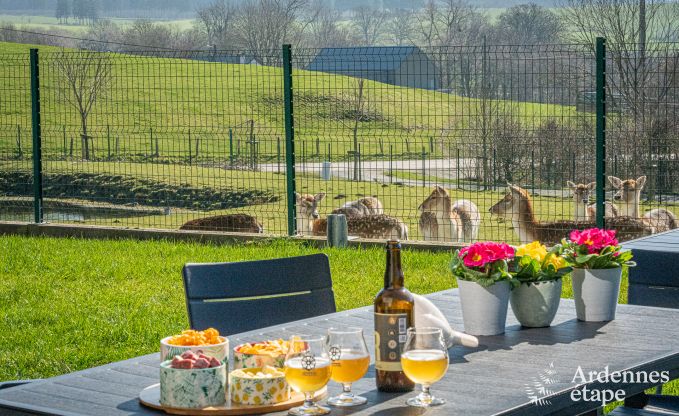 Luxueuze en hondvriendelijke vakantiewoning met zwembad  in Sainte-Ode, Ardennen