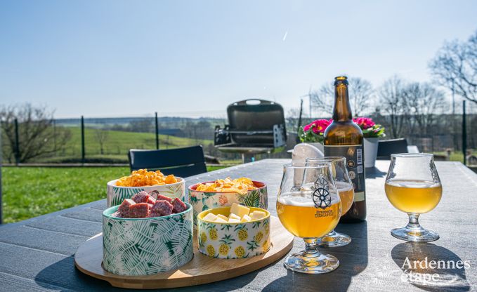 Luxueuze en hondvriendelijke vakantiewoning met zwembad  in Sainte-Ode, Ardennen