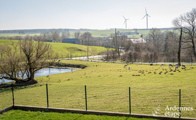 Gezellig vakantiehuis met zwembad  in Sainte-Ode, Ardennen