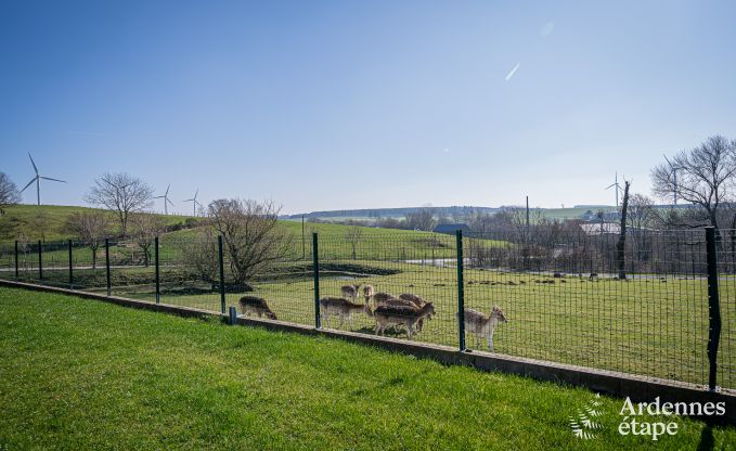 Gezellige familievakantiehuis met zwembad  in Sainte-Ode, Ardennen