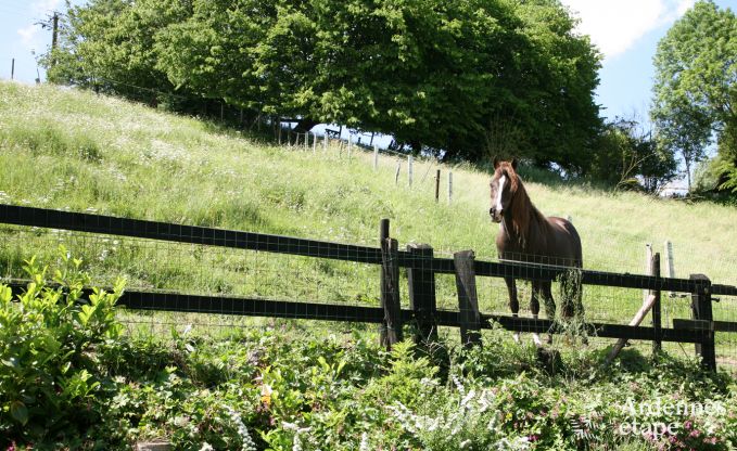 Vakantiehuis in Soiron voor 2/4 personen in de Ardennen