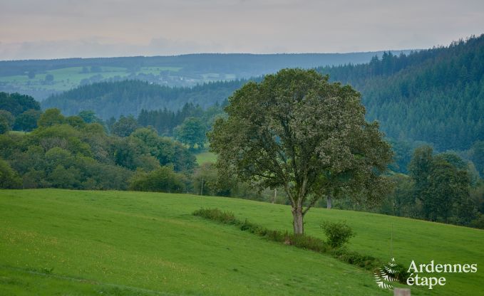 Knusse chalet voor 4 personen in Stavelot, Hoge Venen