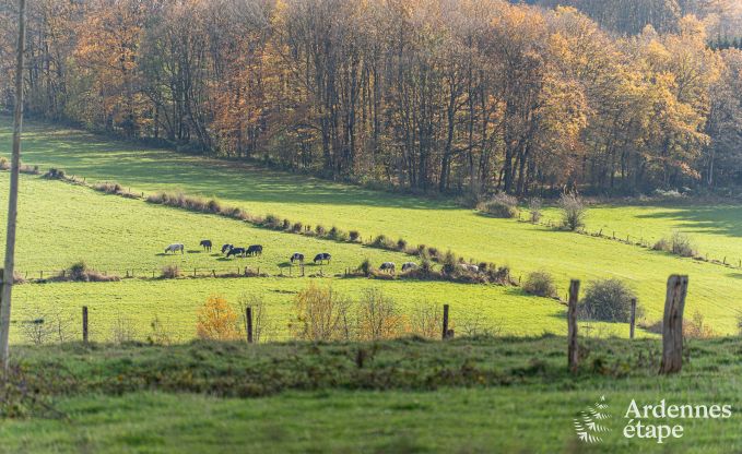 Chalet in Vencimont voor 6 personen in de Ardennen