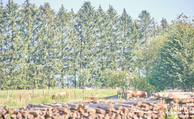 Vakantiehuis in Virton voor 4 personen in de Ardennen