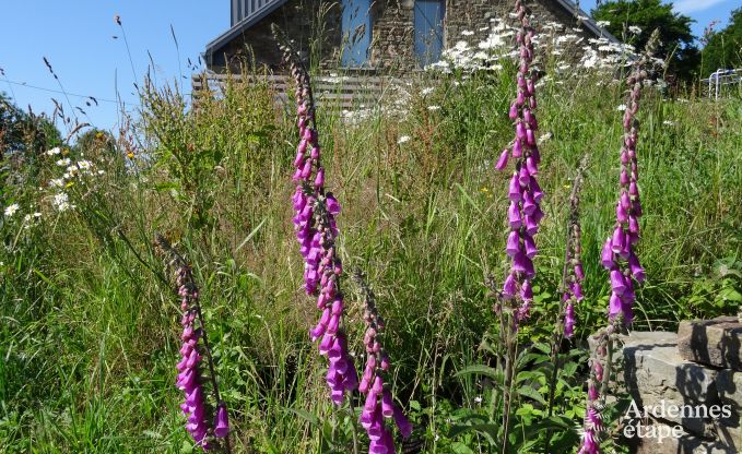 Vakantiehuis in Waimes voor 8 personen in de Ardennen